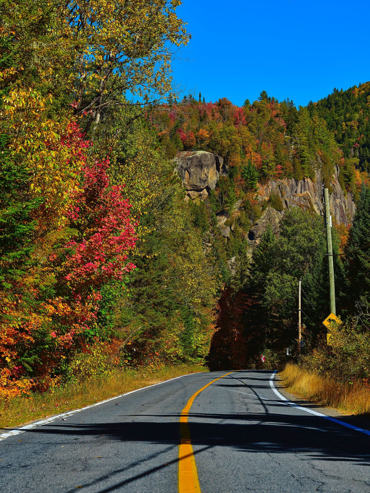 A winding country road lined with vibrant autumn foliage and yellow center lines against a bright blue sky.