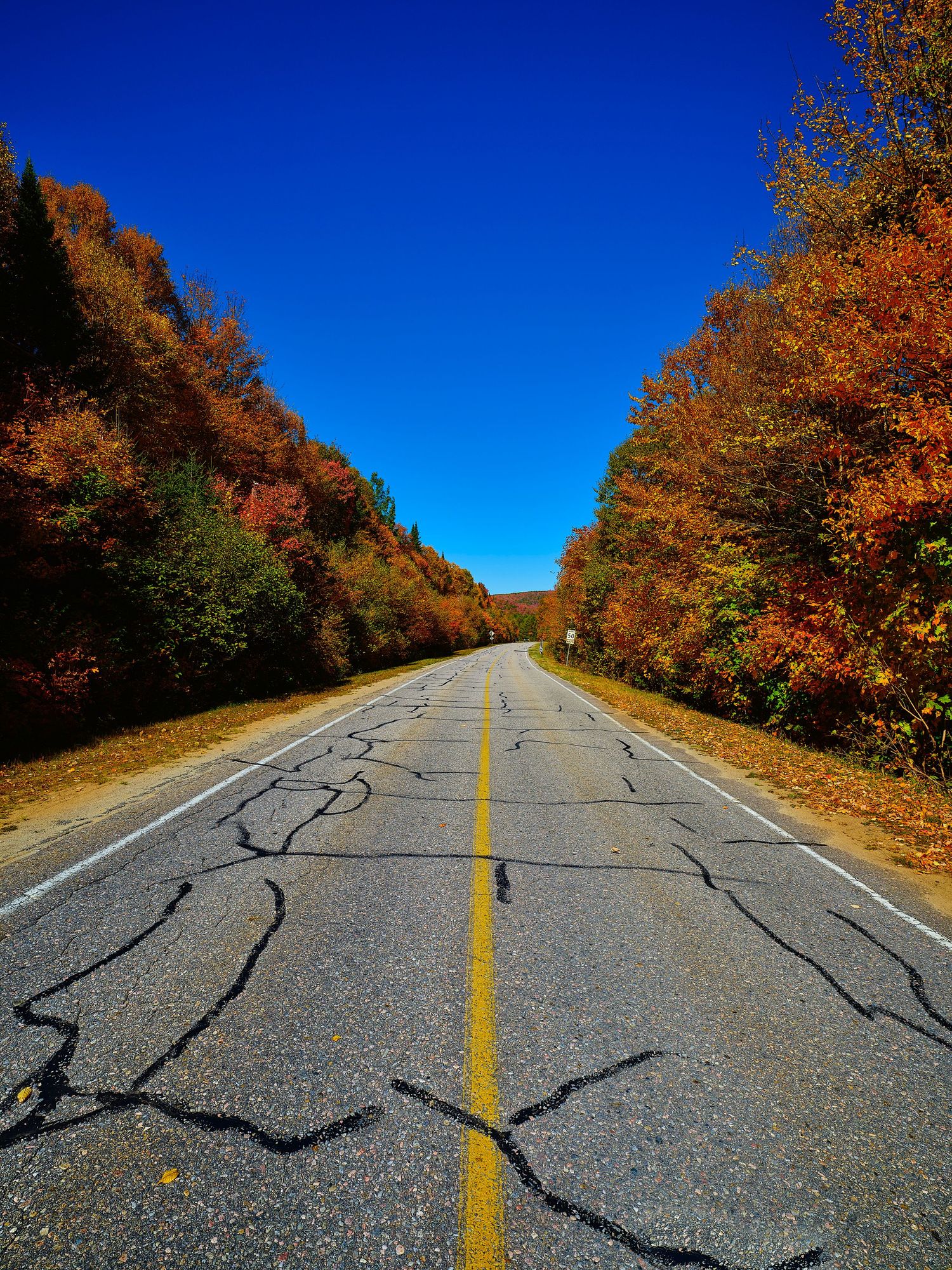 Winding rural road with yellow center line surrounded by vibrant autumn foliage trees against bright blue sky.