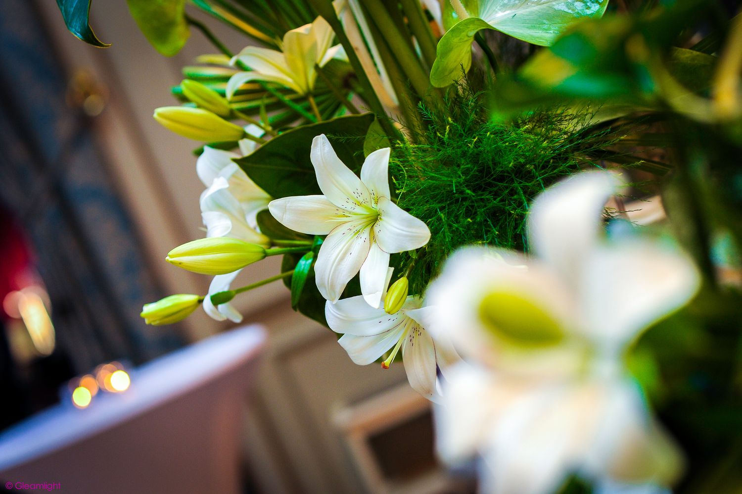 Close-up of white lilies and green foliage with soft natural lighting.