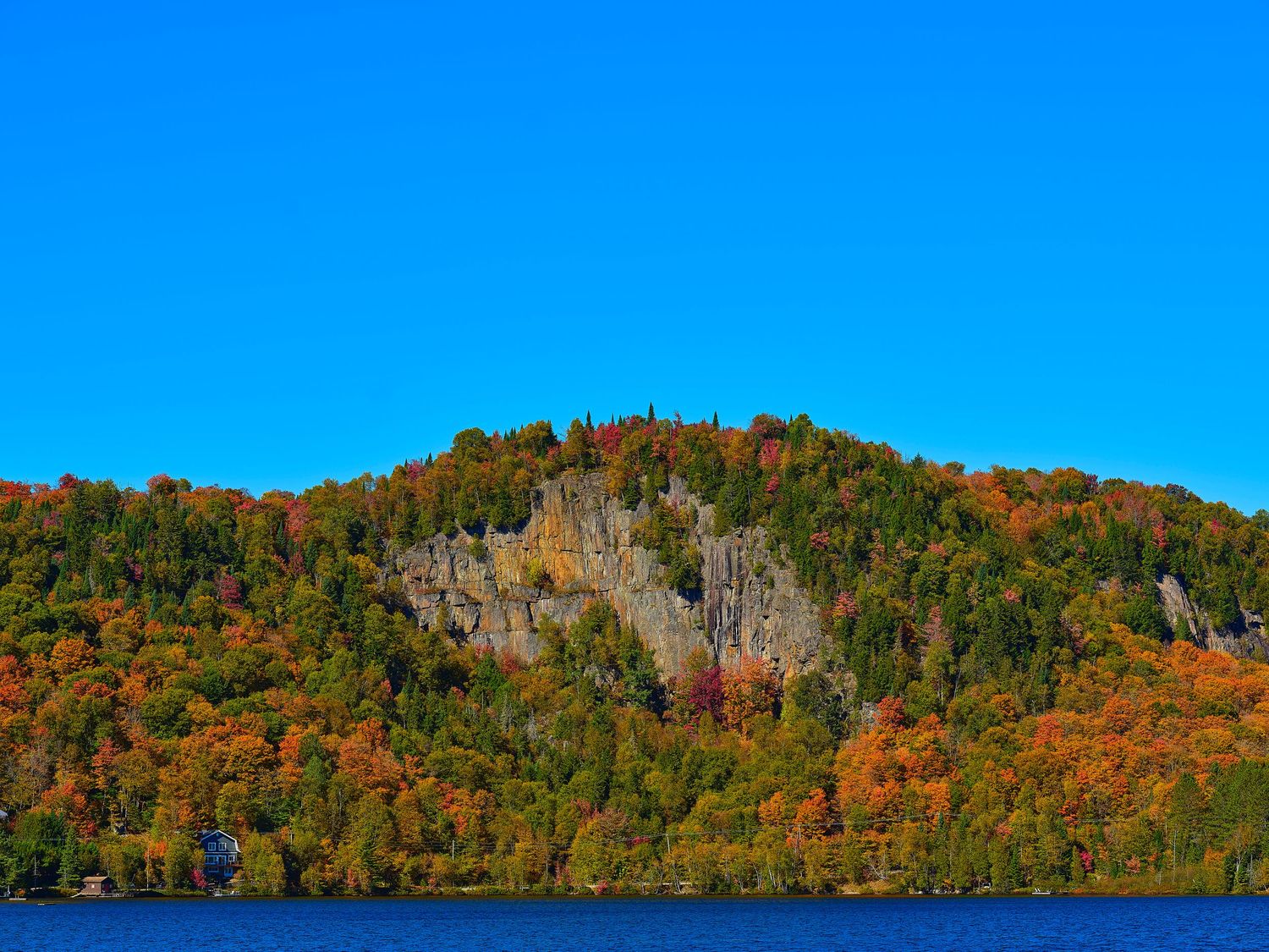 Autumn forest landscape with vibrant orange and red foliage covering hillsides.