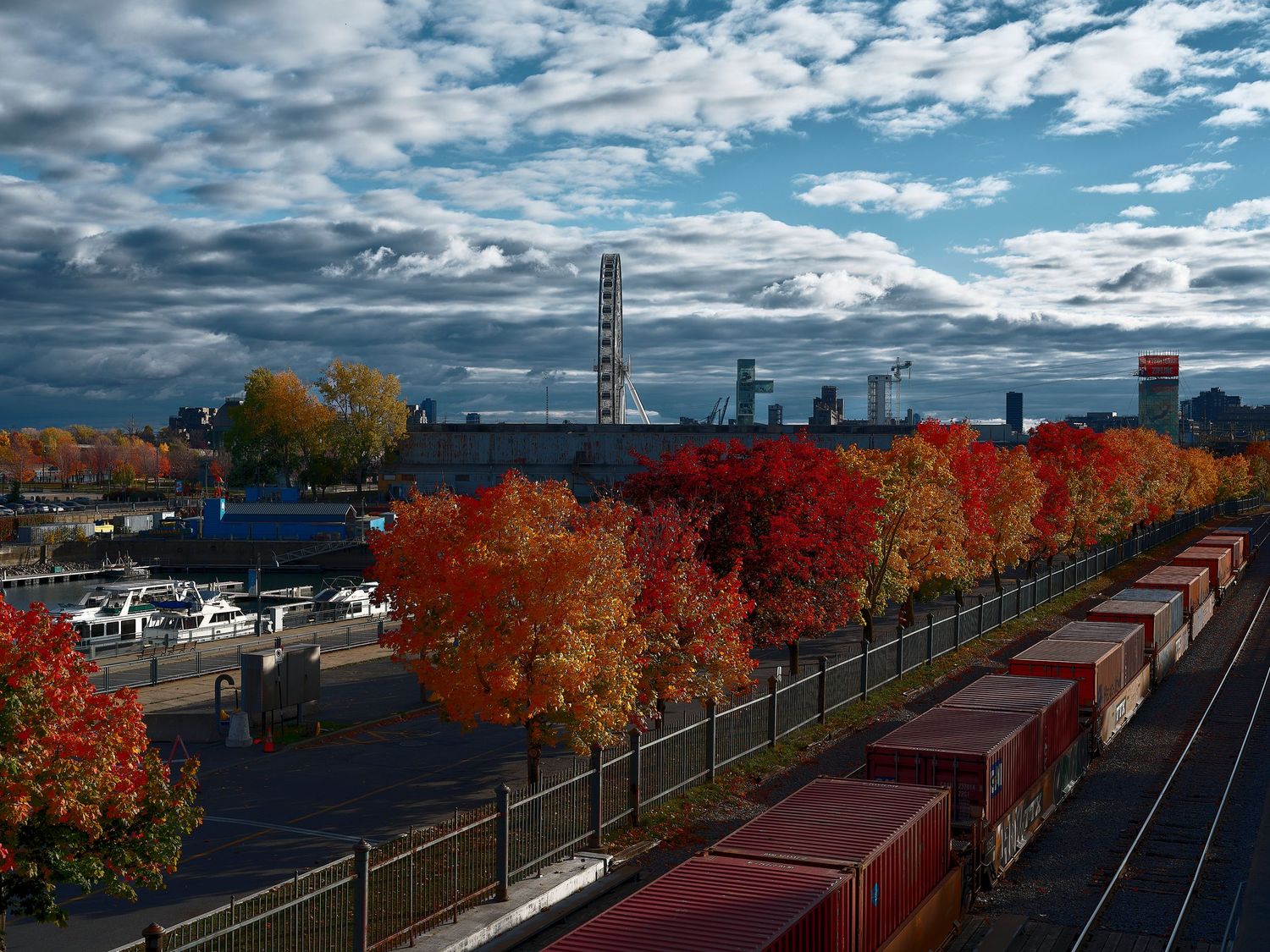 Autumn trees with vibrant red and orange foliage line a railway track under cloudy skies.