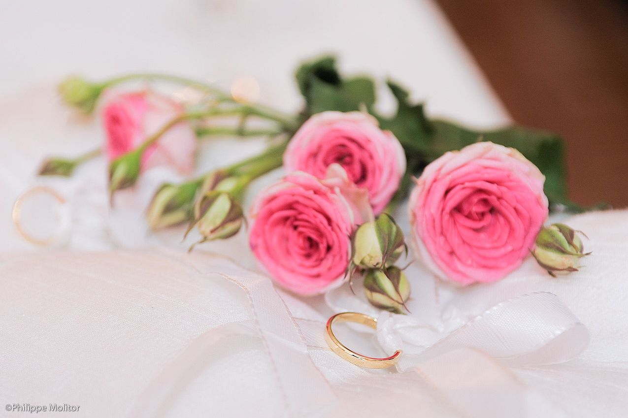 Pink roses and gold wedding rings arranged on white fabric for a romantic bridal decoration.
