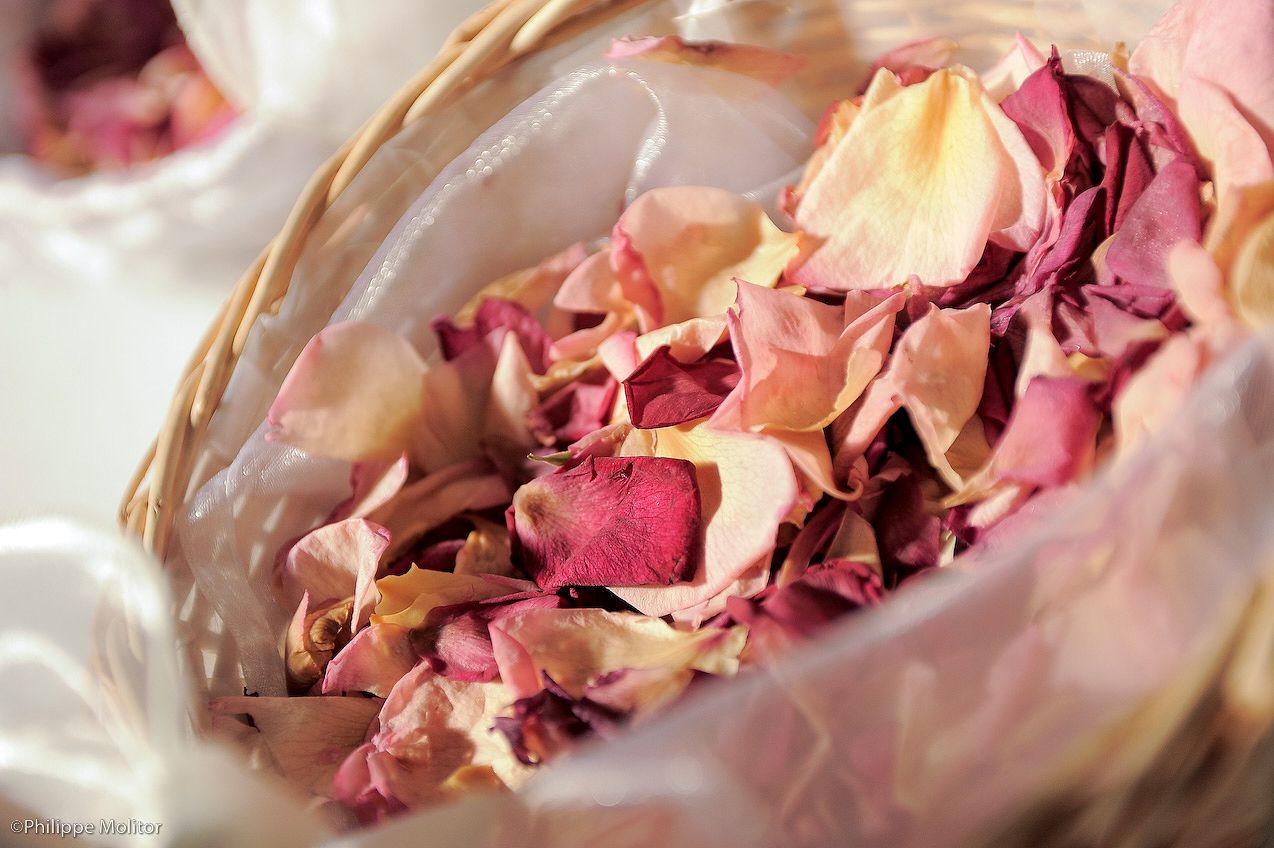Dried rose petals in shades of pink and cream arranged in a wicker basket for wedding confetti or potpourri.