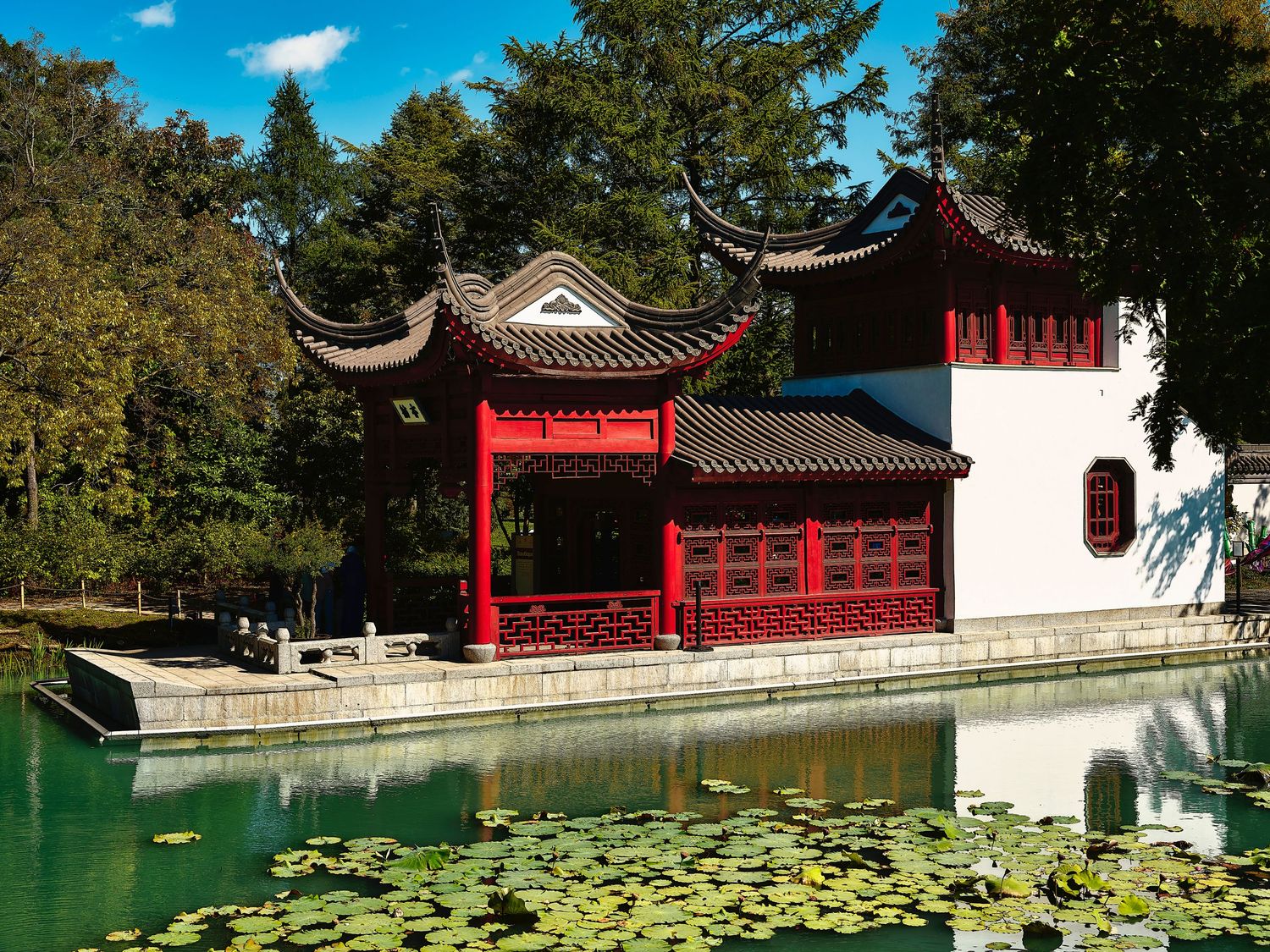 Traditional Chinese garden with red pavilions and lily pond surrounded by trees.