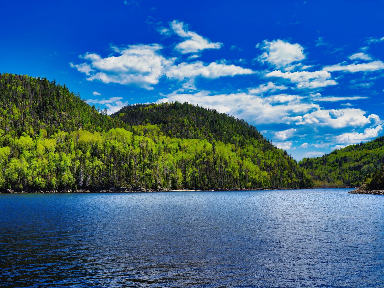 Scenic panorama of a serene mountain lake surrounded by evergreen forests under bright blue skies.