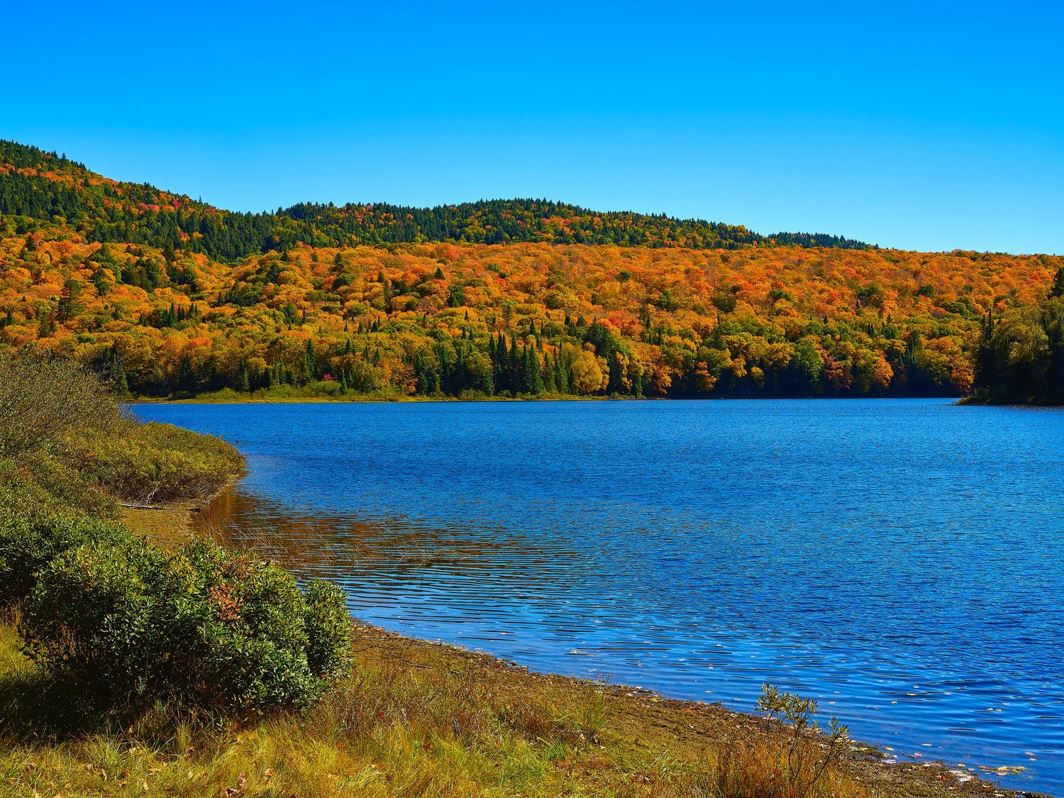 Autumn landscape with vibrant fall foliage reflecting in a calm lake surrounded by rolling hills.