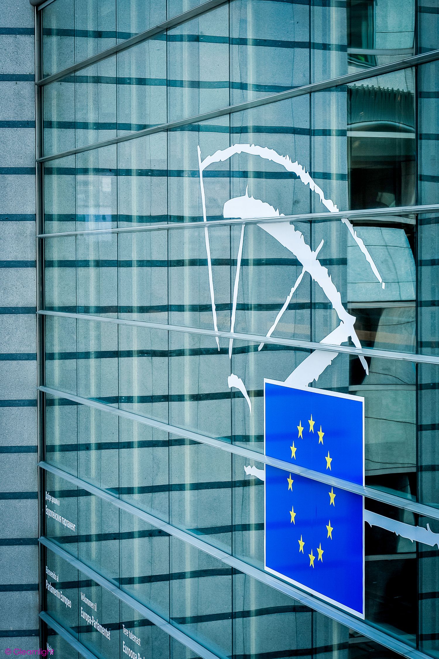 Architectural detail showing a row of European Union flags mounted on a glass building facade.