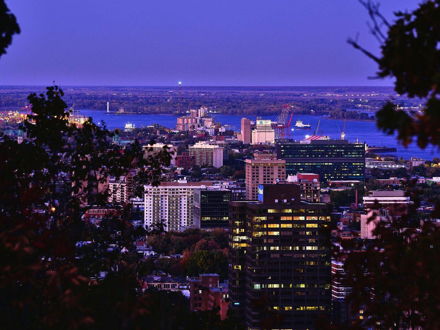 Purple-tinted cityscape panorama at dusk showing illuminated buildings and urban skyline.