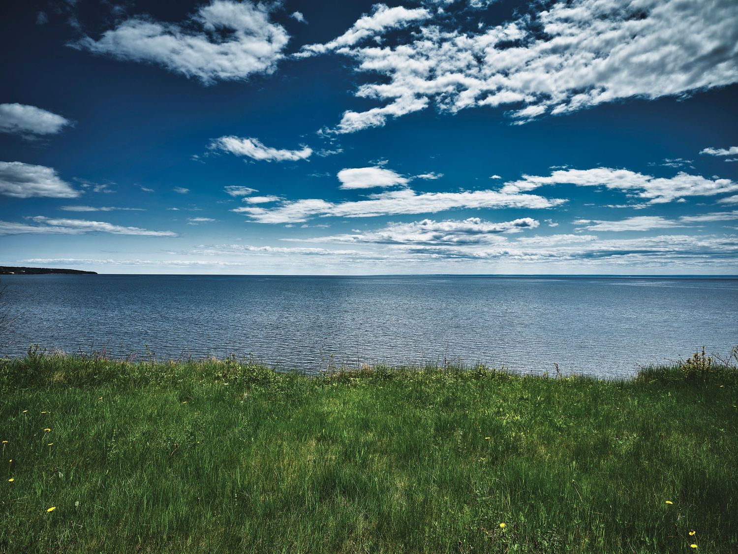 Dramatic blue sky with puffy white clouds stretches over a green grassy landscape.