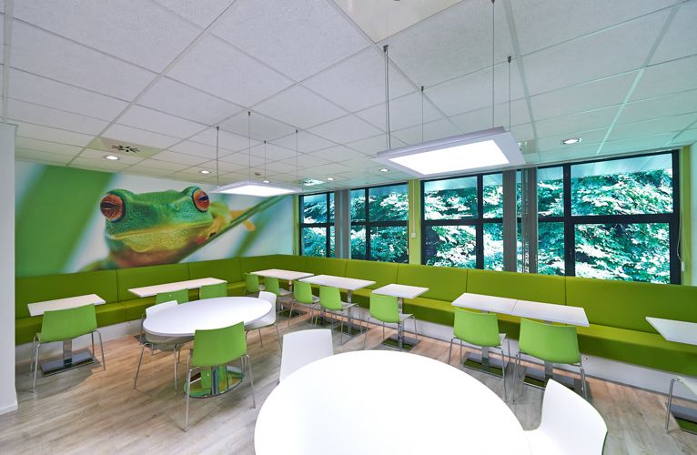 Bright cafeteria space with lime green seating and large windows overlooking trees.
