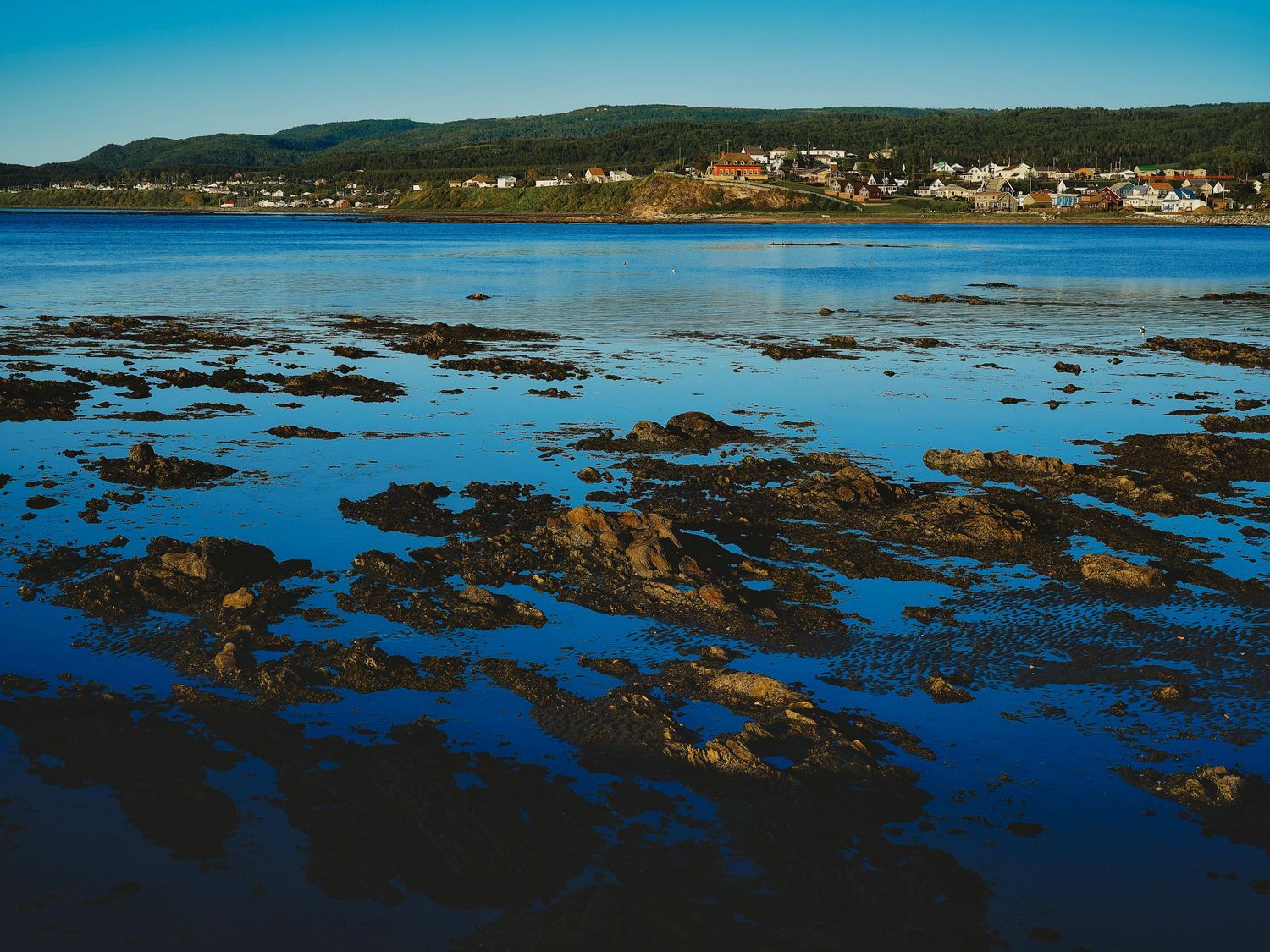 Panoramic coastal landscape showing rocky shoreline and blue waters during low tide.