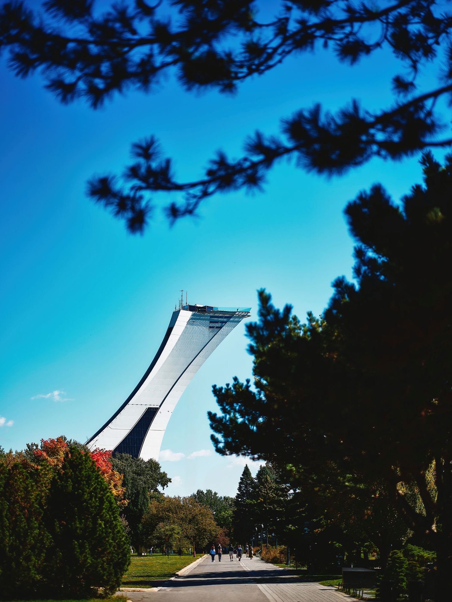 Sequence of photos showing a drawbridge lifting up against a bright blue sky with trees in the foreground.