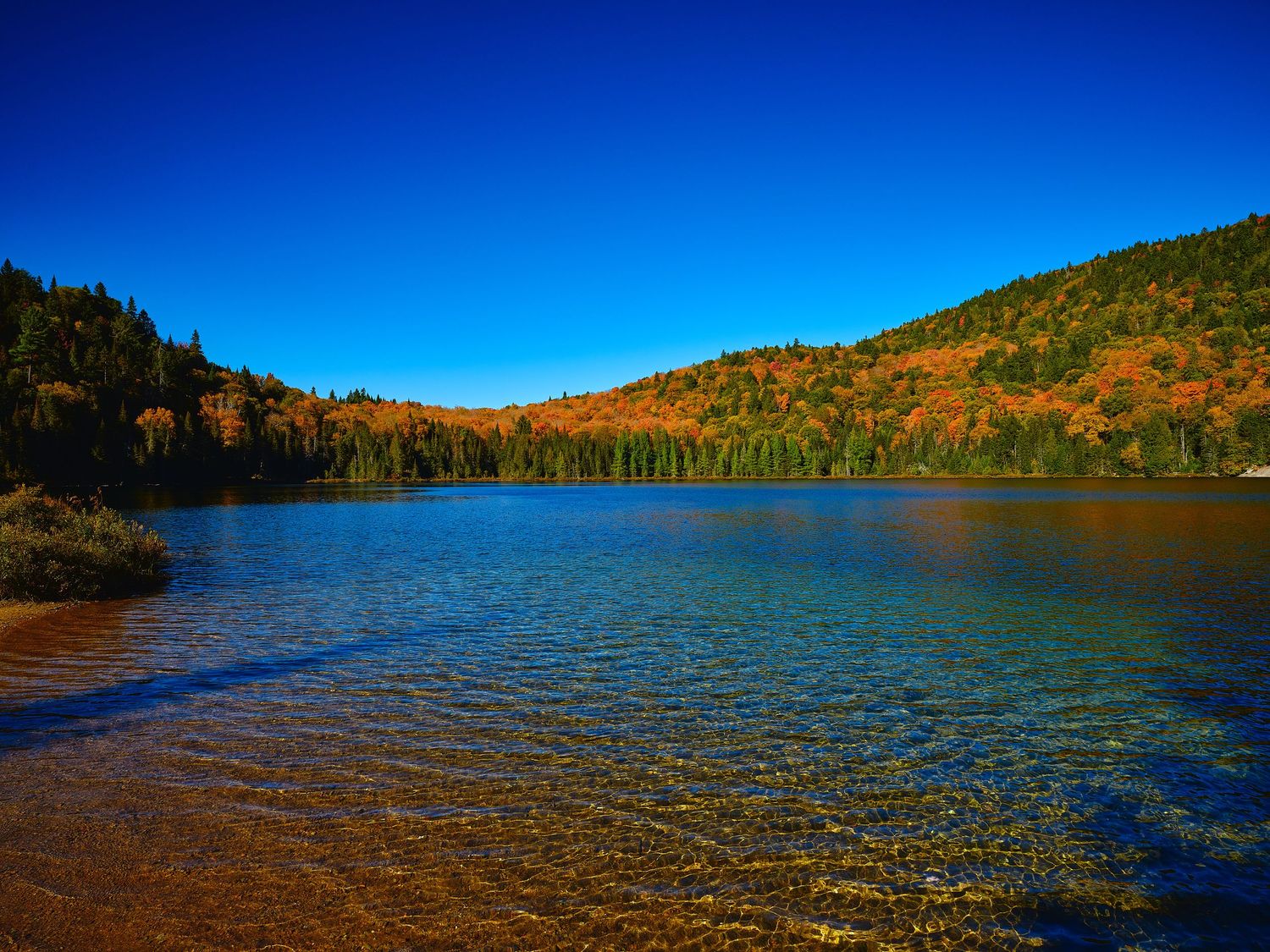 Panoramic view of a mountain lake with fall foliage on surrounding hillsides.