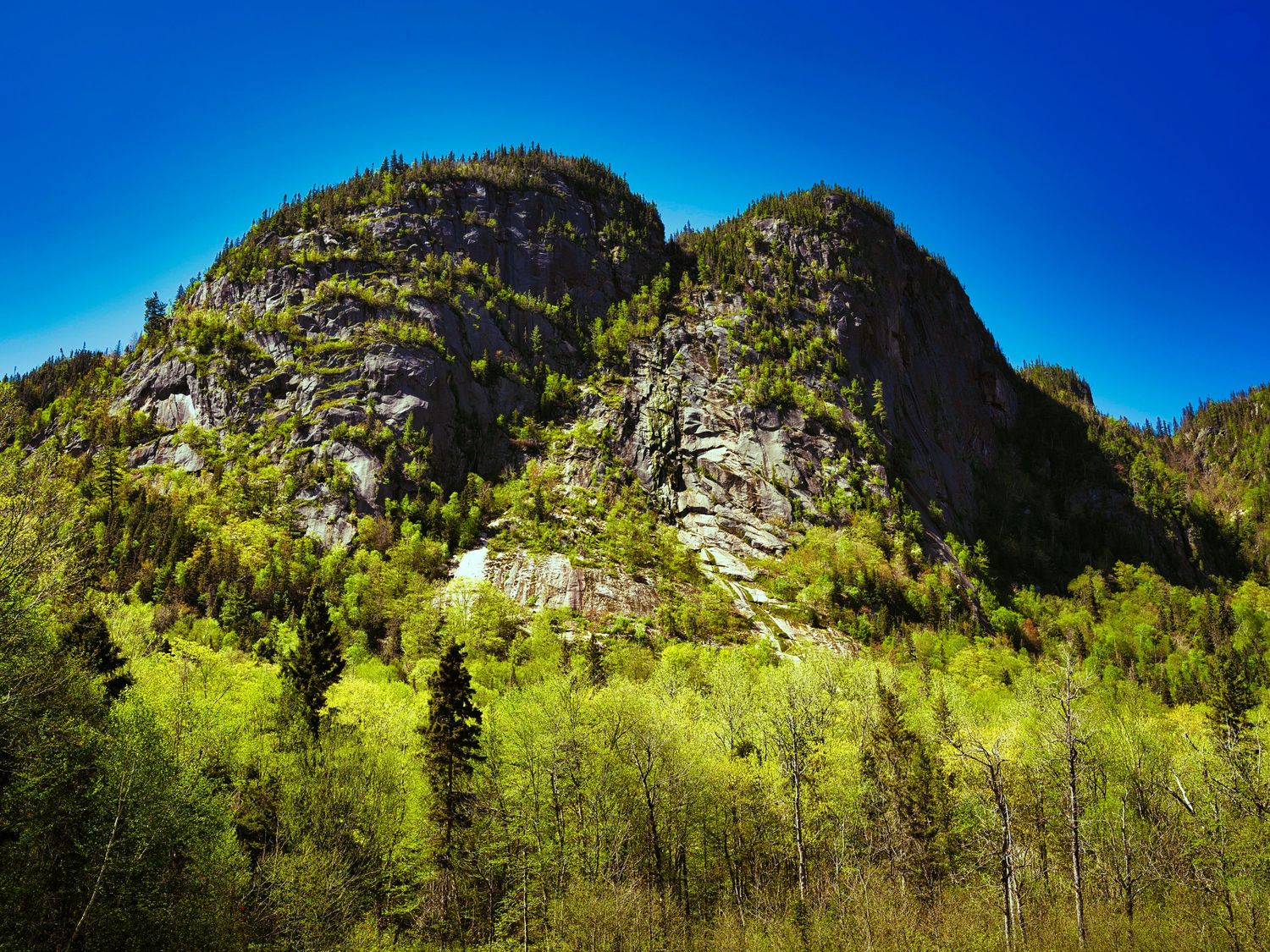 Panoramic view of green mountain peaks and forest landscape under bright blue summer sky.