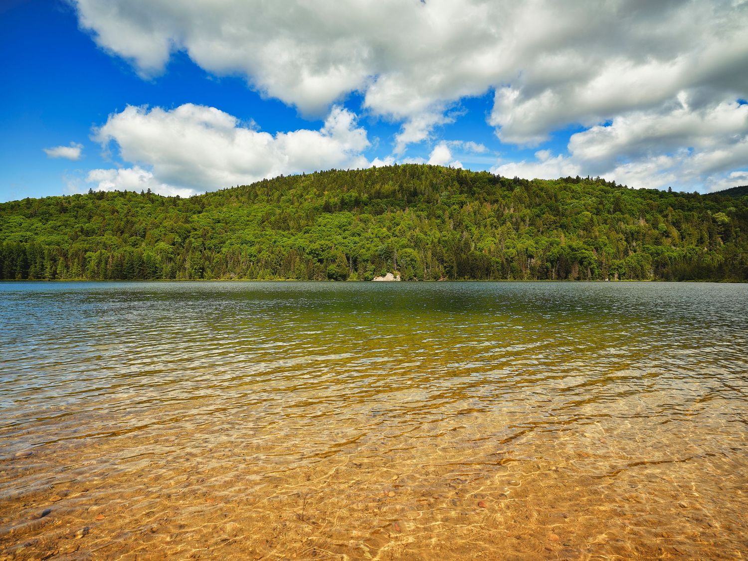Clear shallow waters meet a forested hillside under dramatic clouds at a pristine lake in summer.