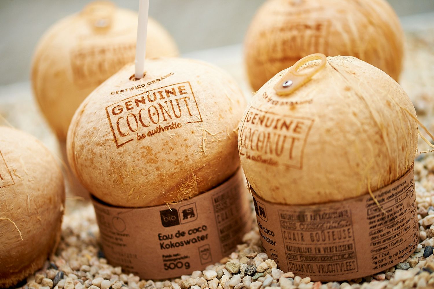 Several young coconuts with branded markings displayed on a textured surface.