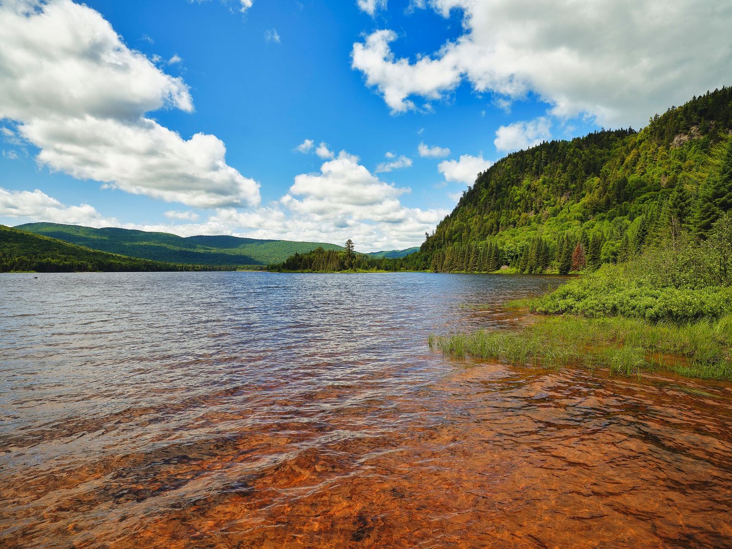 Panoramic view of a lake surrounded by green hills under puffy white clouds.
