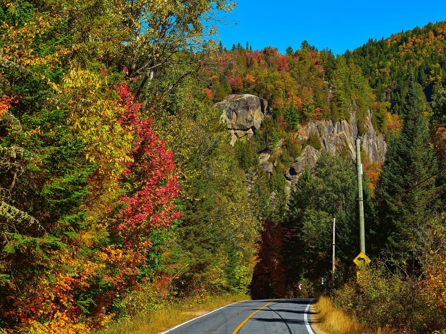 Winding mountain road through colorful autumn foliage with red and orange trees lining the curves.