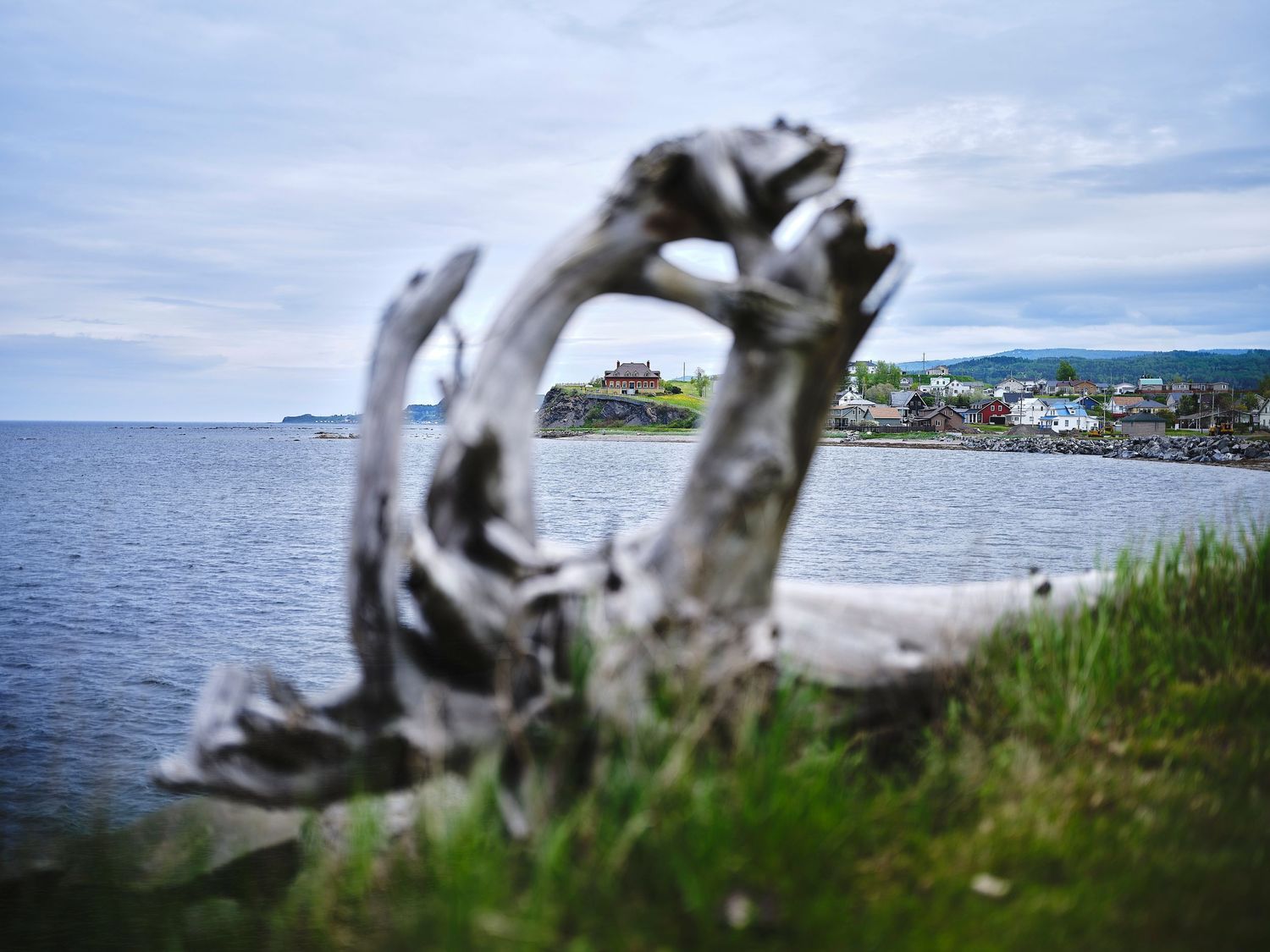 Scenic coastal views of a beach town with driftwood in the foreground and houses dotting the shoreline under cloudy skies.