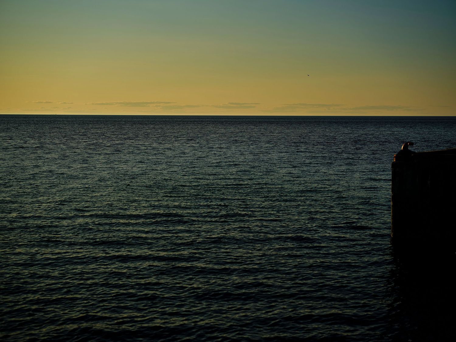 Panoramic view of a dark ocean horizon at sunset with minimal lighting.