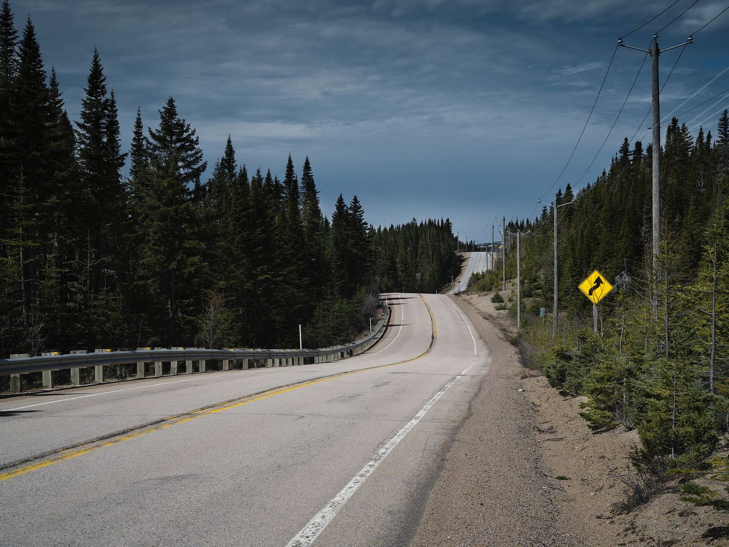 Winding mountain road through evergreen forest with guardrails and yellow warning signs.