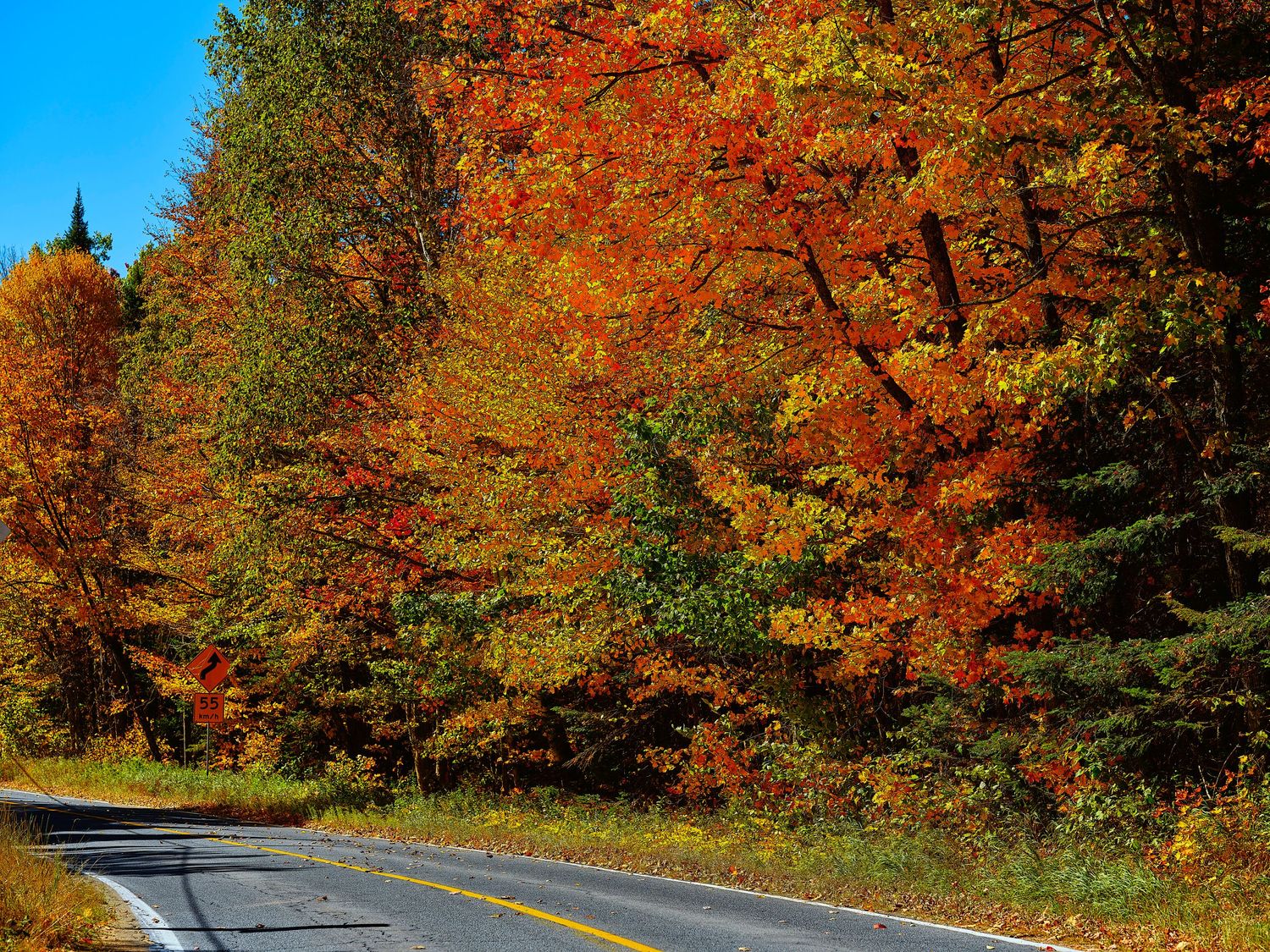 Winding road through vibrant autumn trees displaying red and orange fall foliage.