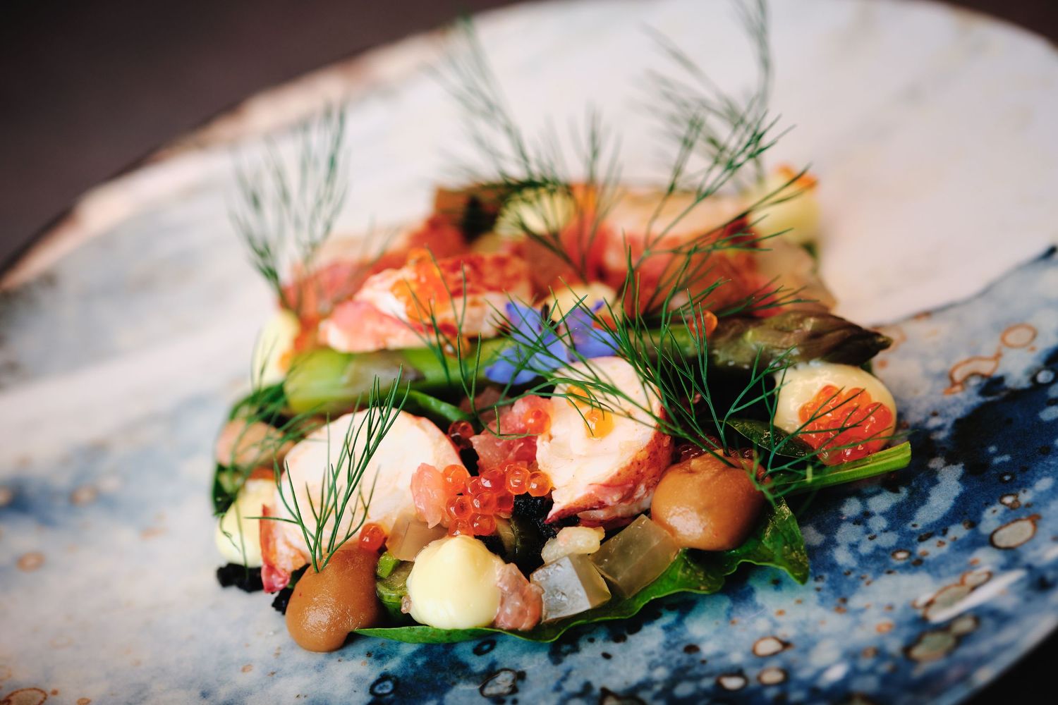 Beautifully plated seafood dish with fresh herbs and colorful garnishes on a decorative plate.