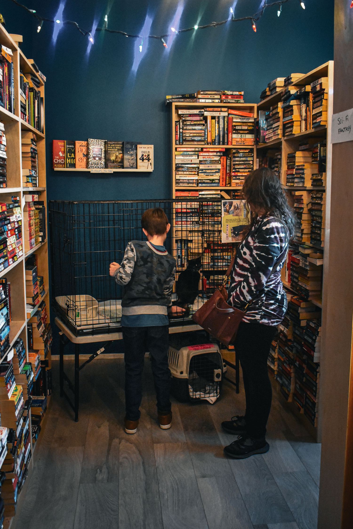 Customers browse books on wooden shelves in a cozy bookstore with dark blue walls and warm lighting.