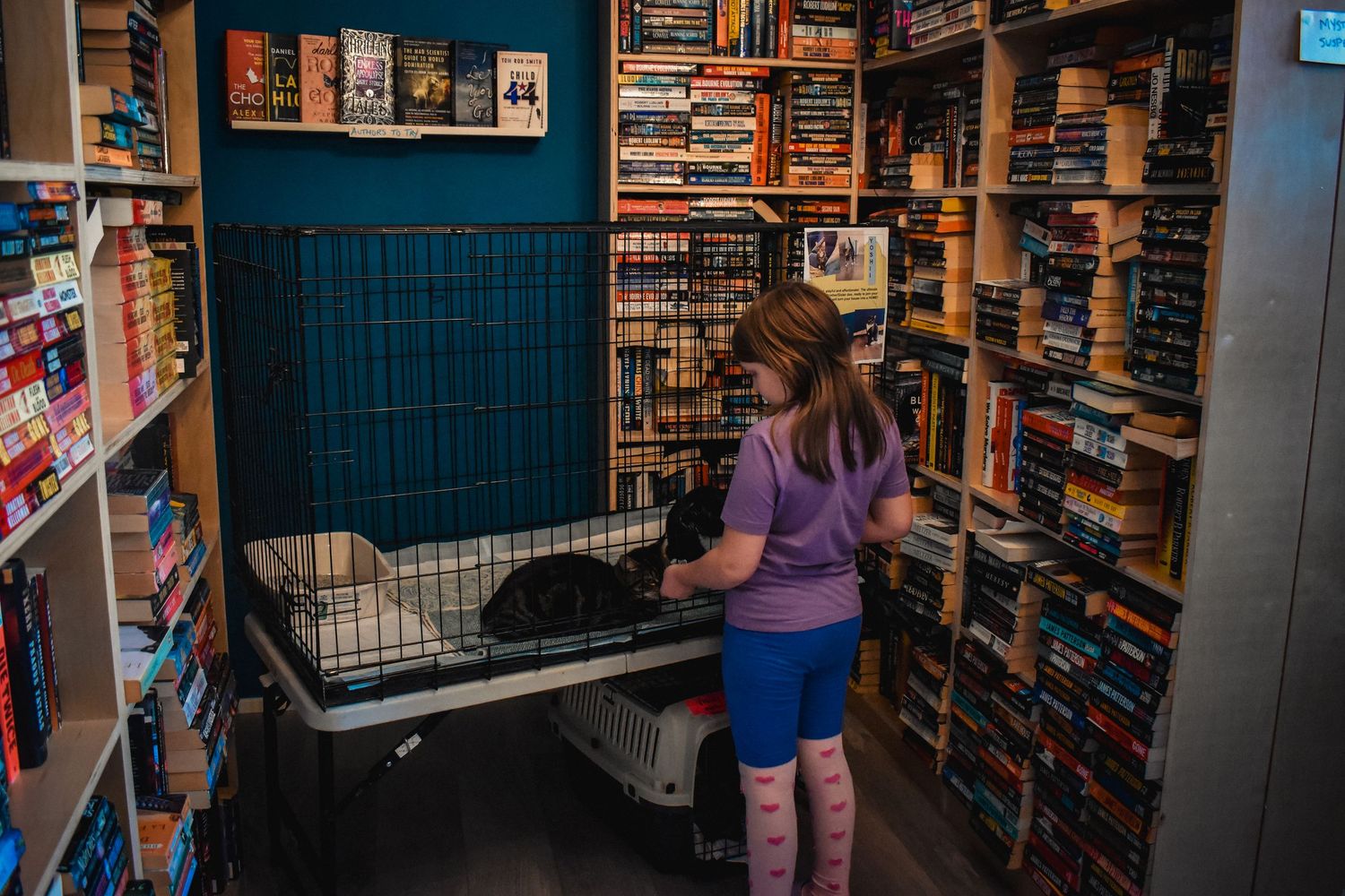 Customers browse shelves of books and media in a cozy local video rental store with blue walls.