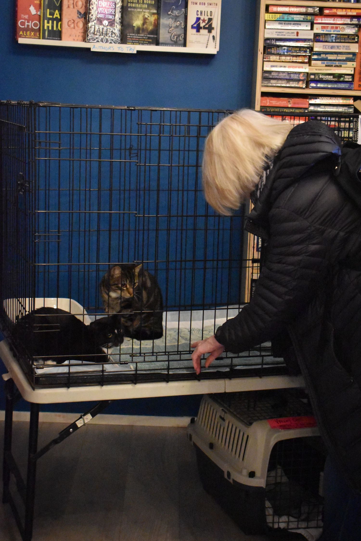 A cat sits in a blue wire crate next to a pet carrier while someone in a black coat tends to them at a bookshelf-lined wall.