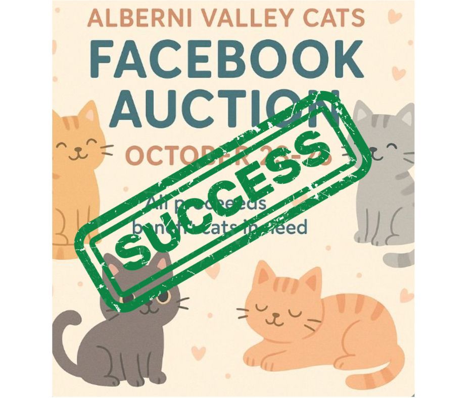 Cartoon illustration of cats with text 'Alberni Valley Cats Facebook Auction' and green success stamp overlay.