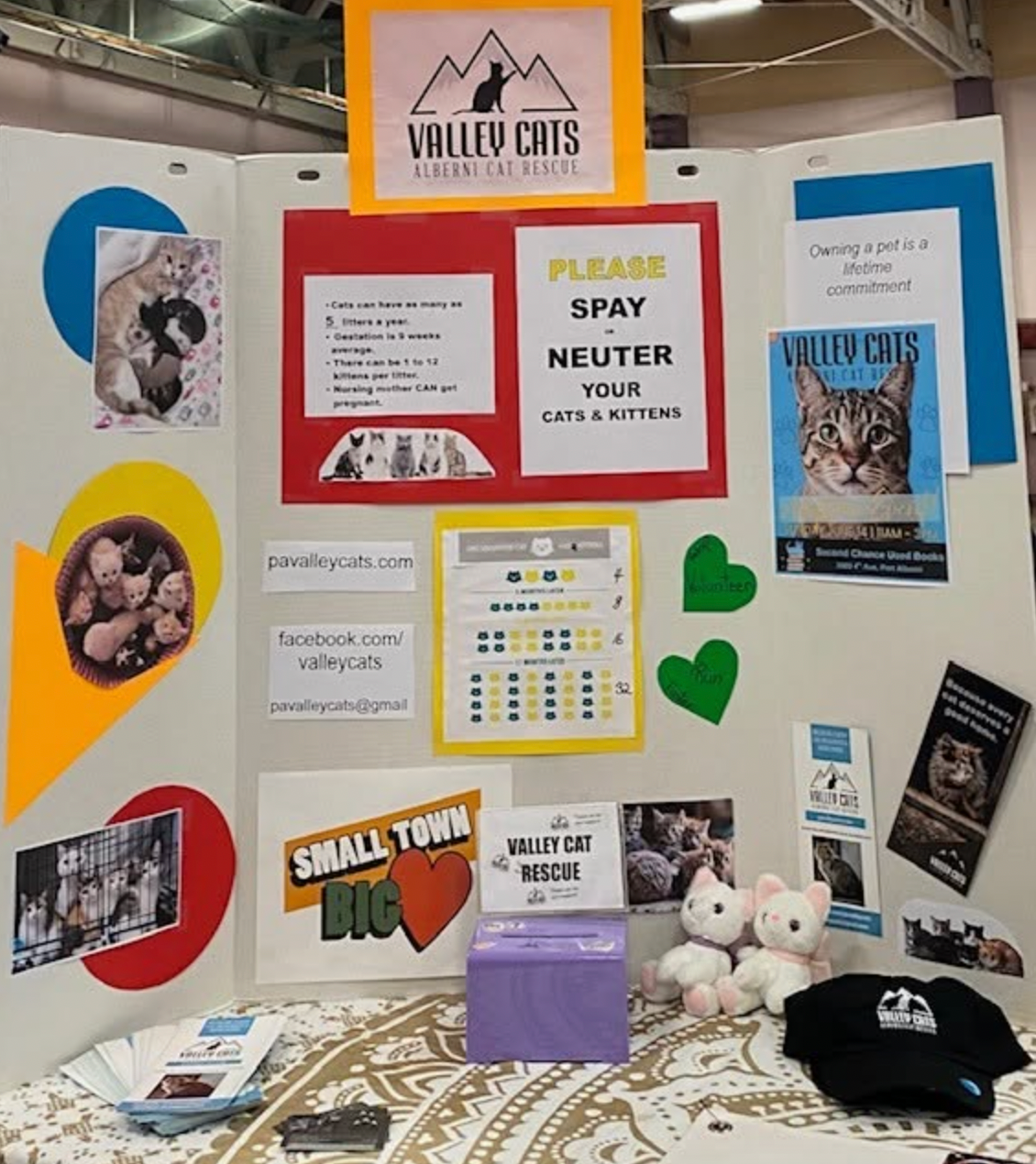 Valley Cats rescue organization booth displaying spay and neuter awareness, cat photos, and adoption information at a community event.