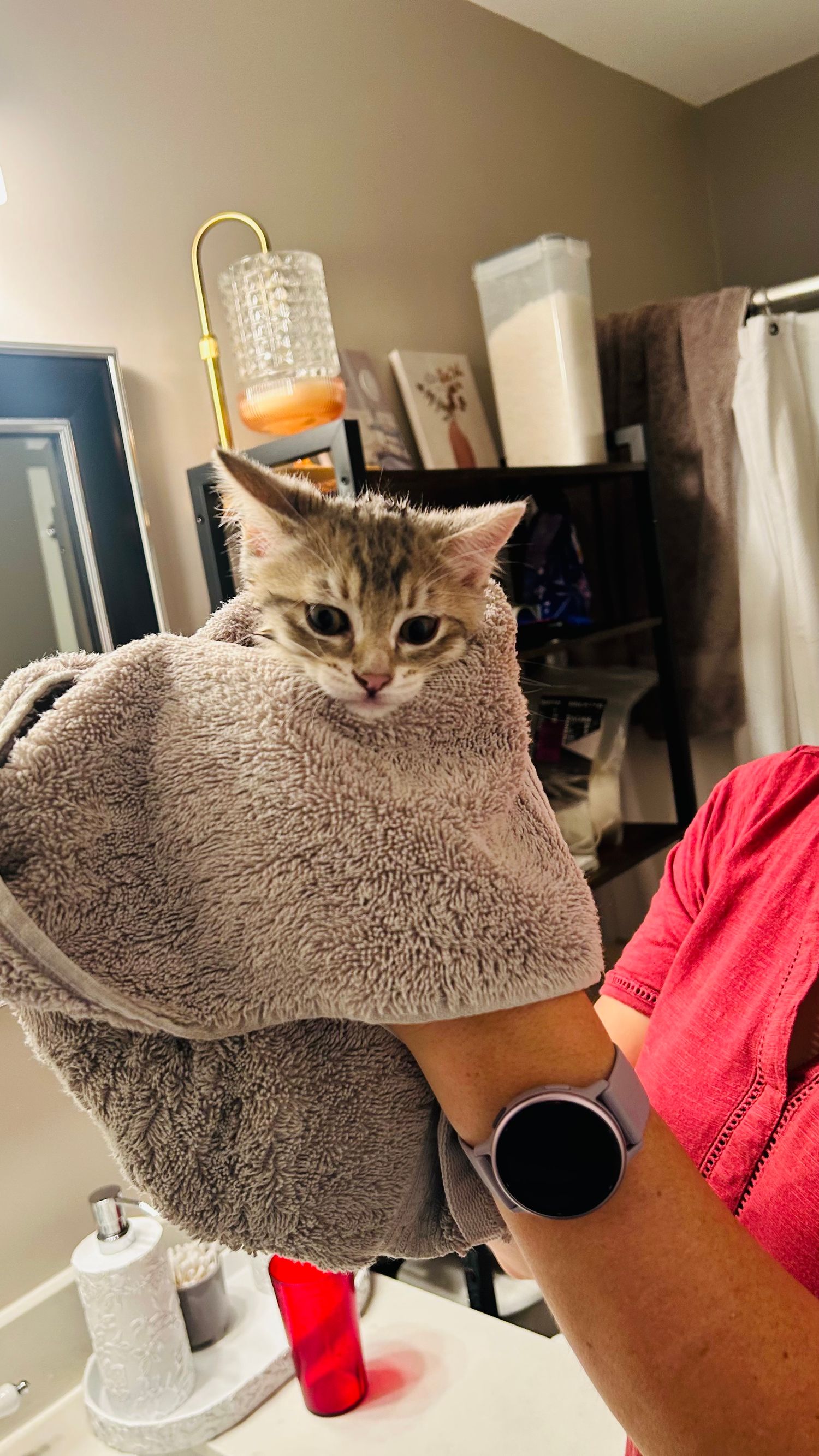 A wet kitten wrapped snugly in a gray towel being held by a person wearing a pink shirt and smartwatch.