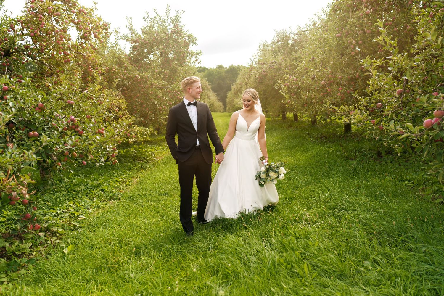 A couple walks through a lush apple orchard on their wedding day as sunlight filters through the trees.