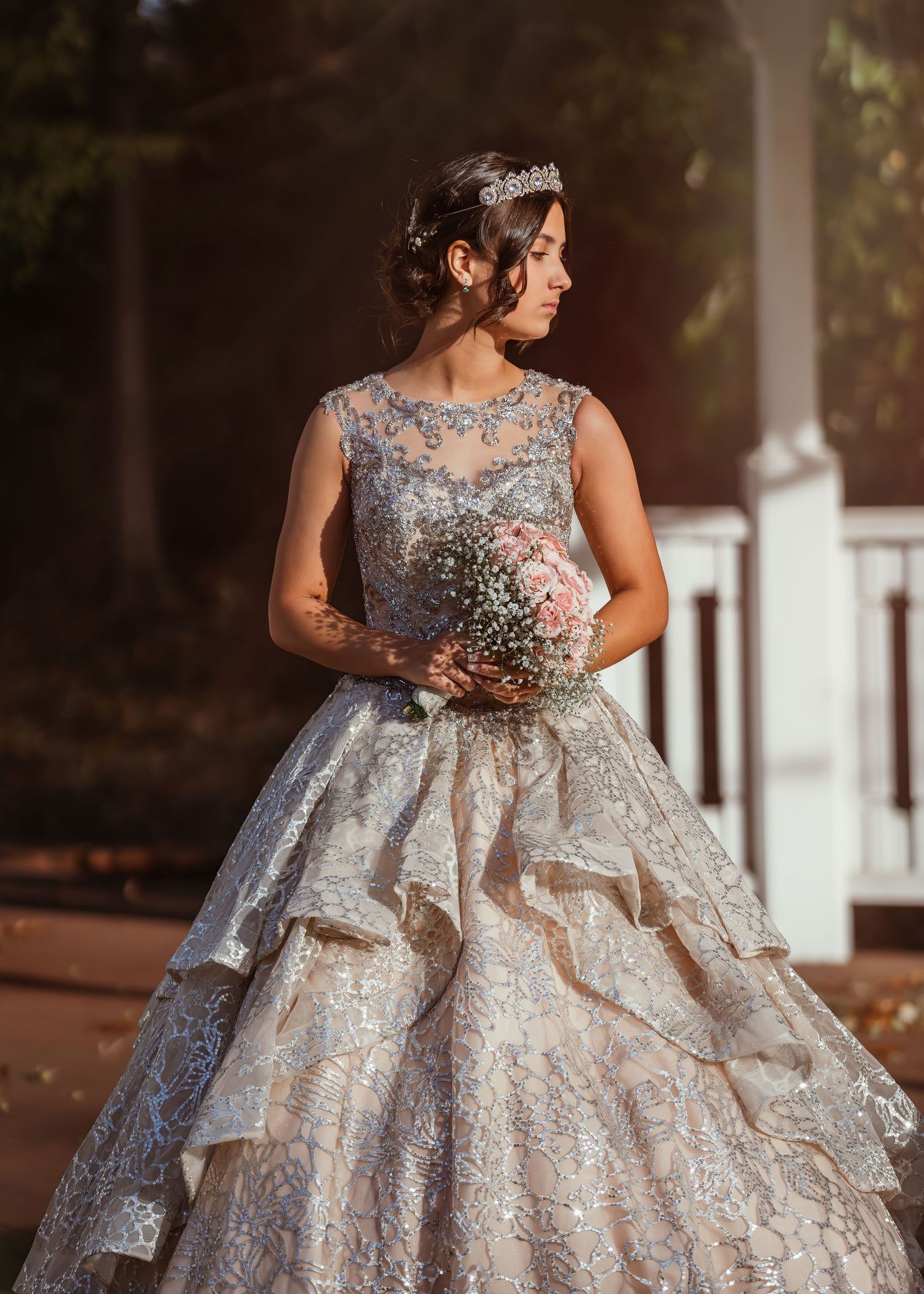 A stunning princess-style wedding gown with delicate lace detailing and tiered skirt.