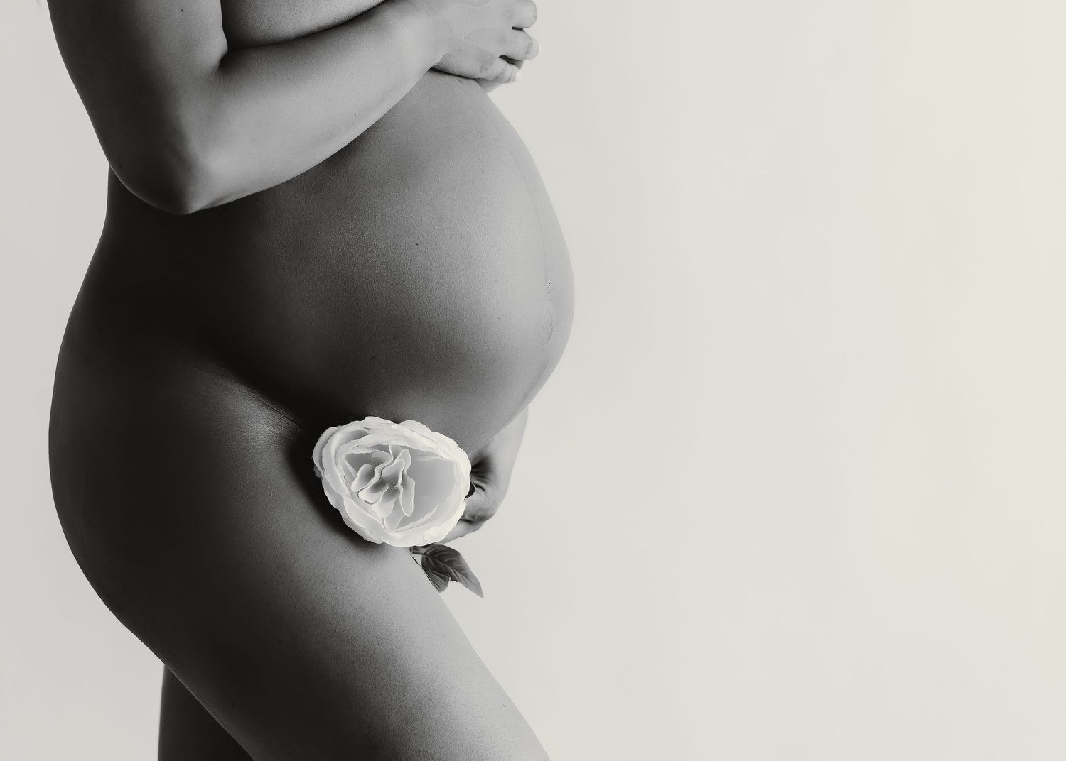 Black and white artistic maternity photo featuring a single rose.