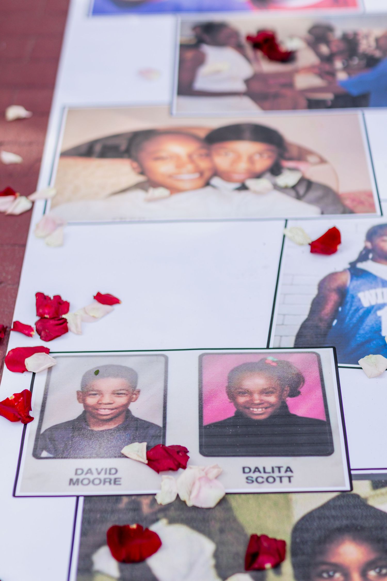 A memorial photo display with red rose petals scattered on vintage family photographs.