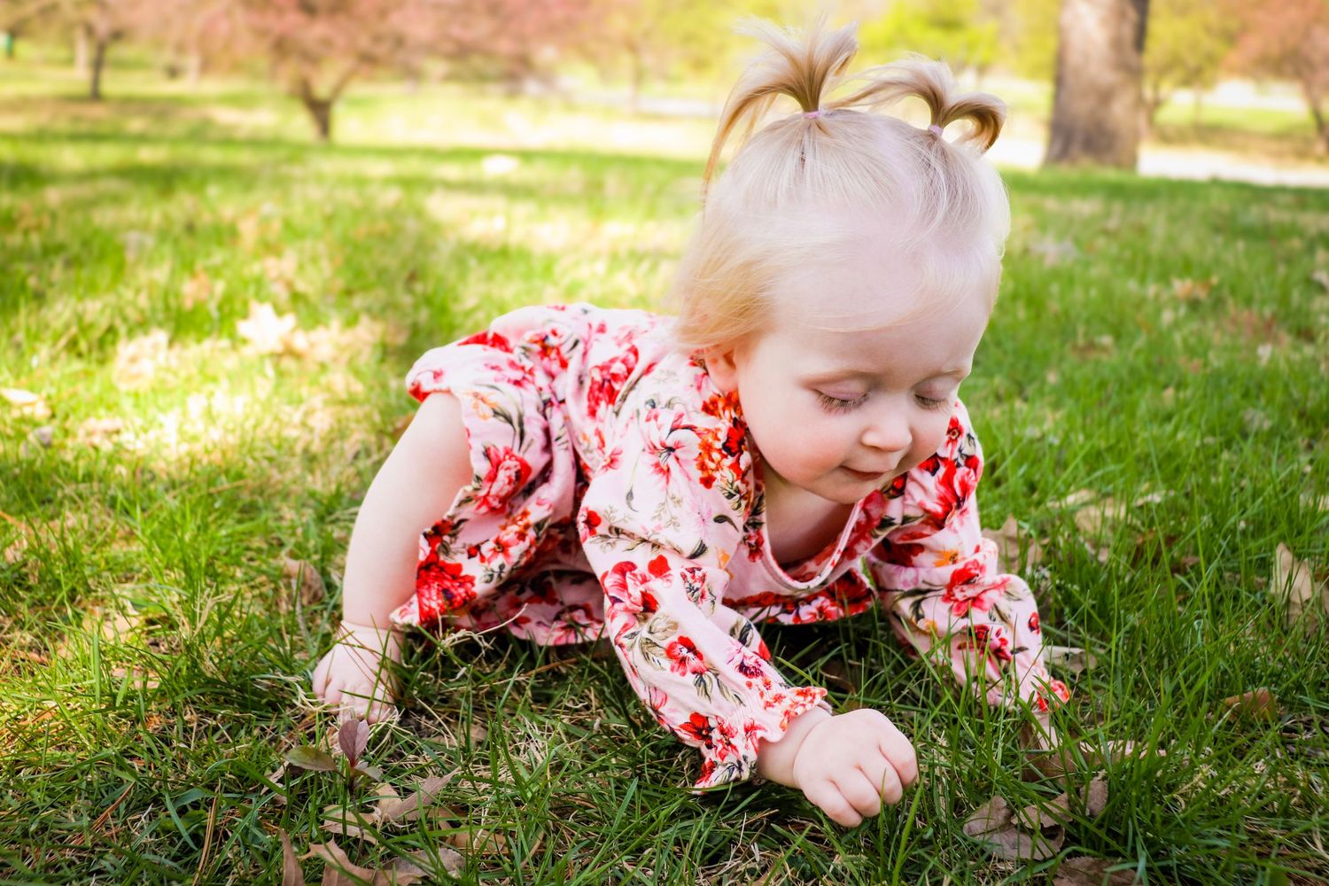 A baby in a floral dress crawls and plays on lush green grass during a sunny spring day.