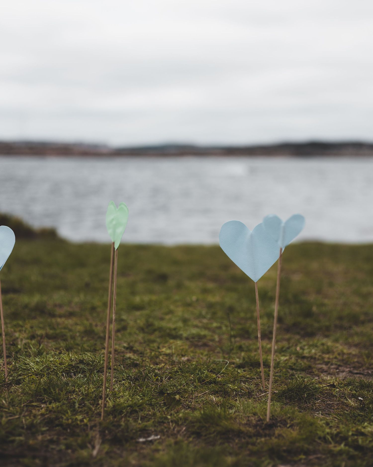 Detaljbild med havet i bakgrunden
