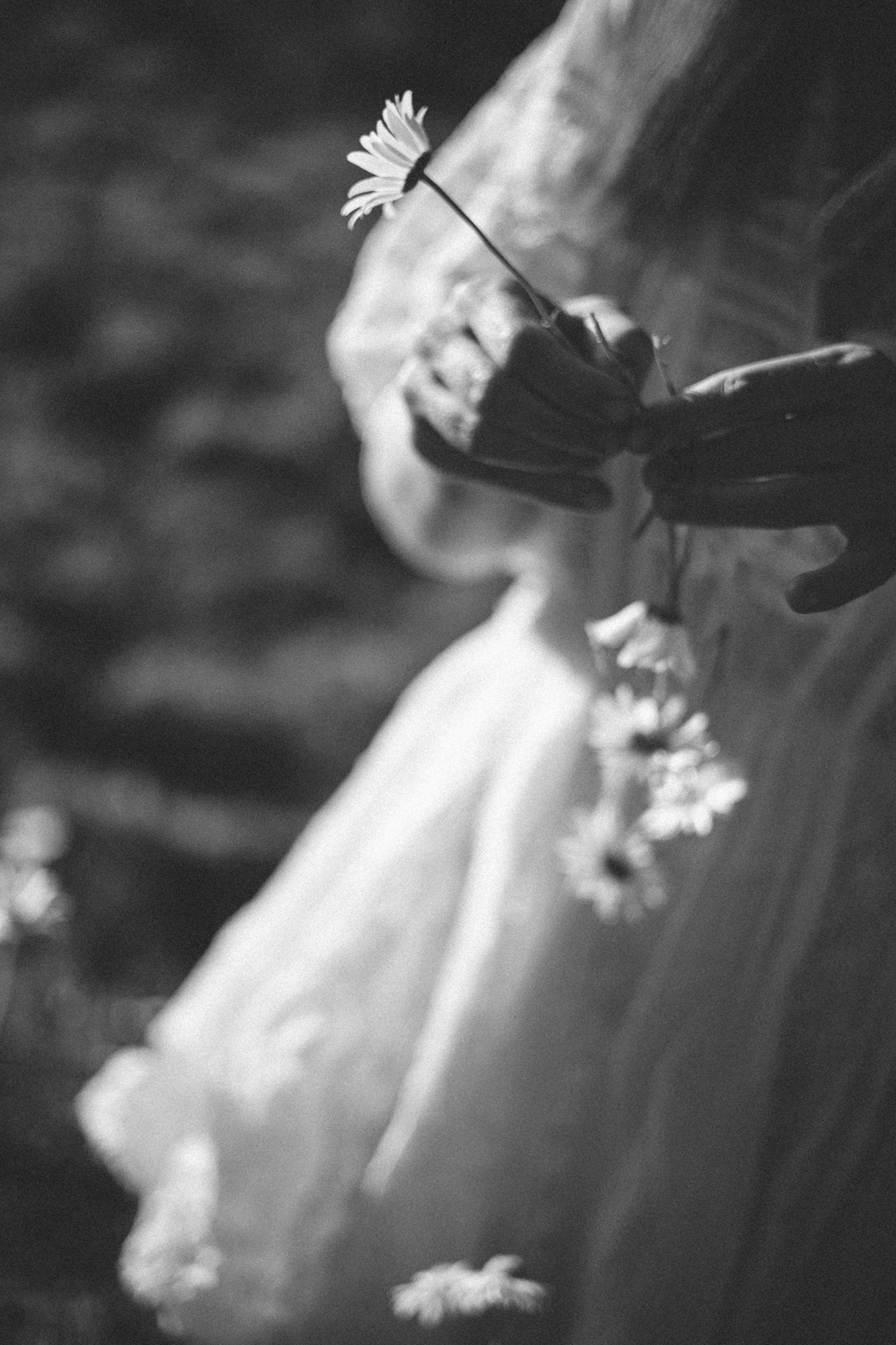A detail shot of a woman's hands making a daisy chain in a field of daisies.