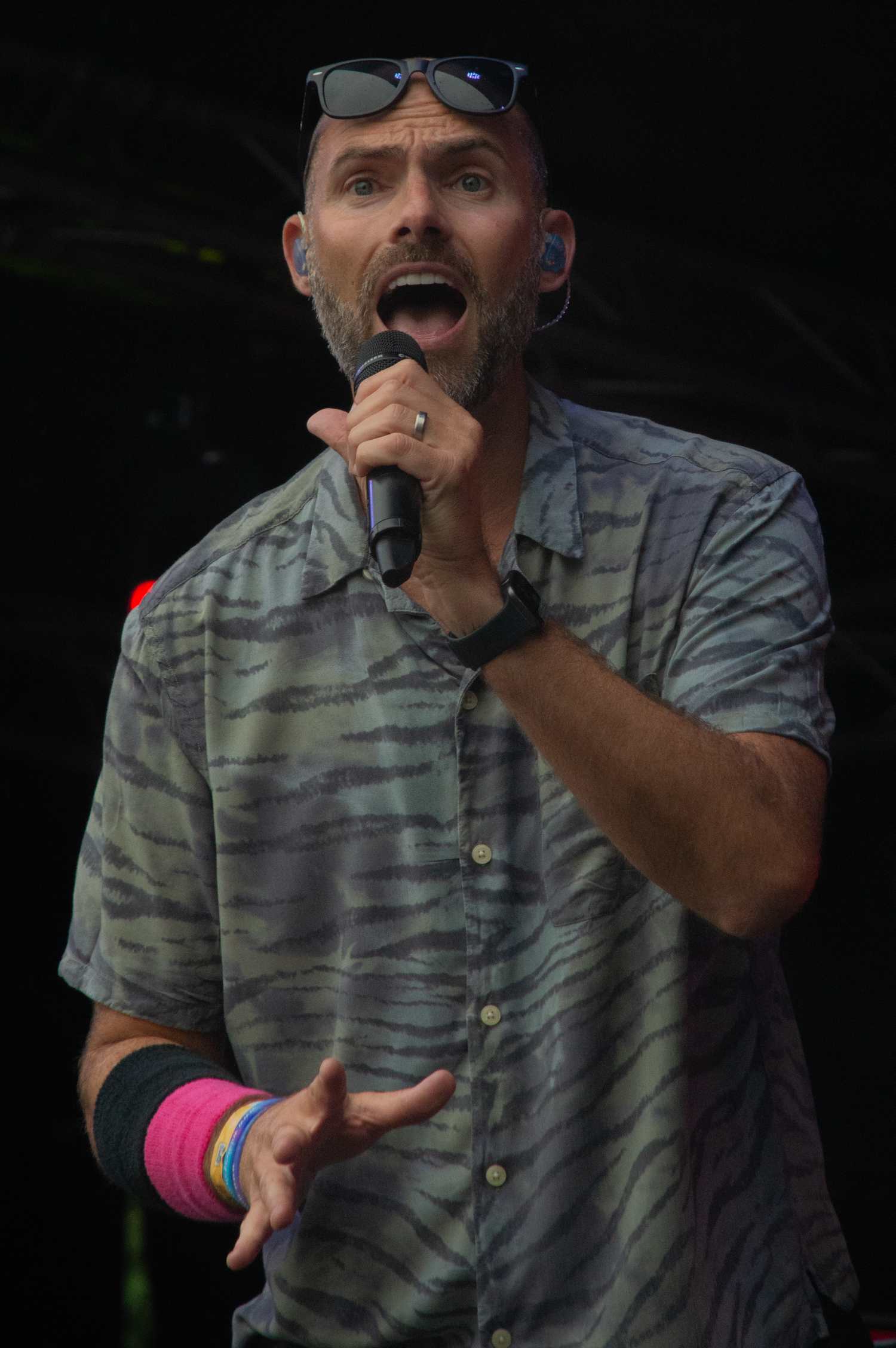 concert performer