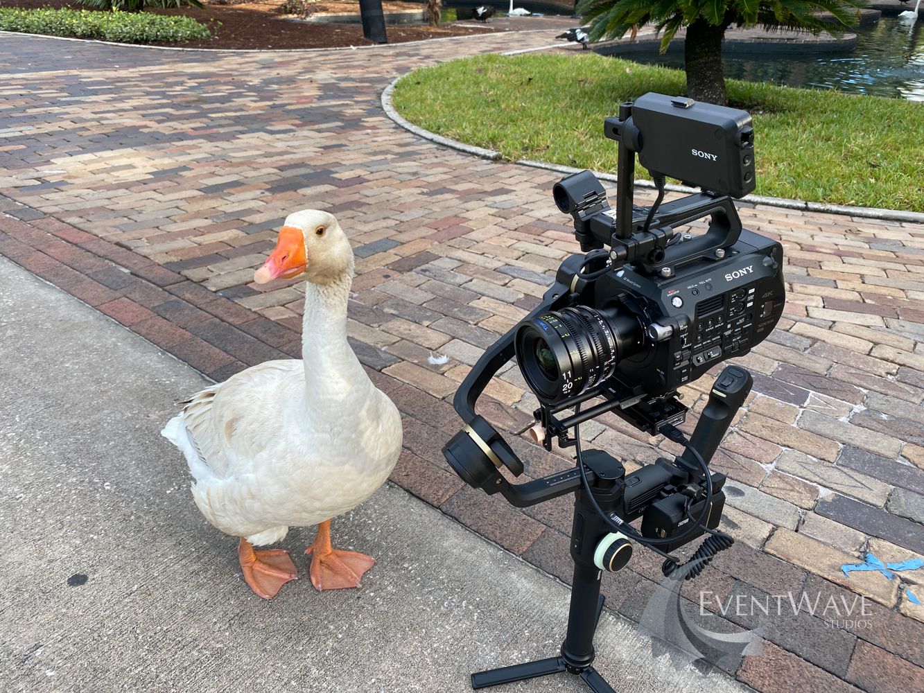Camera operator
