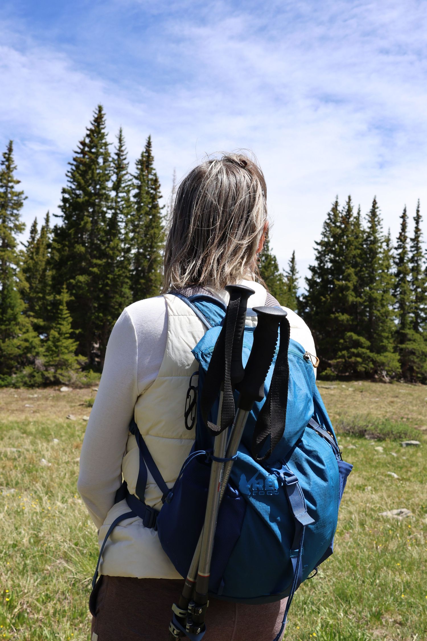 Hiking backpack.
