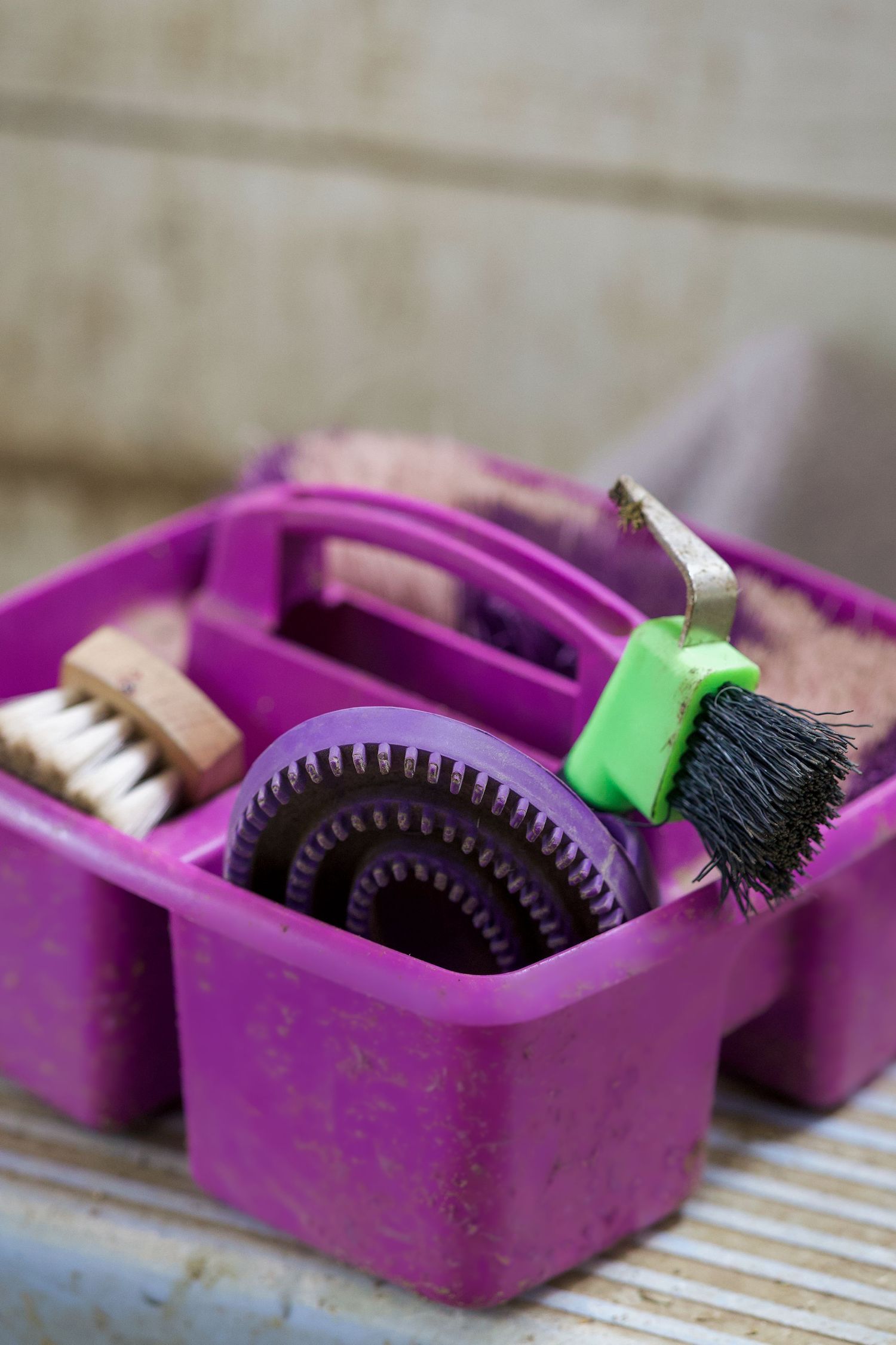 Purple grooming caddy filled with horse brushes and grooming tools on a stable shelf.