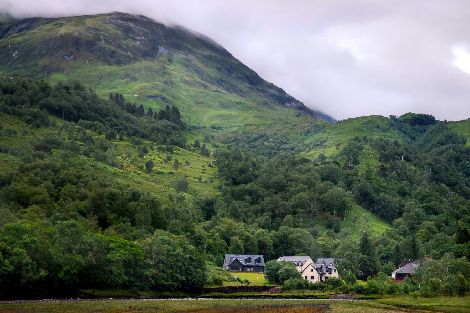 Lush green Scottish Highland valley with misty mountains, dense forest, and charming stone cottages nestled along the shoreline.