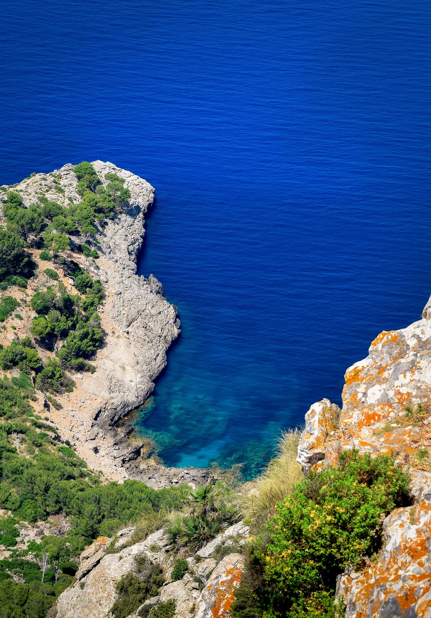 Aerial view of rocky Mediterranean coastline with lush green vegetation meeting crystal clear blue sea waters.
