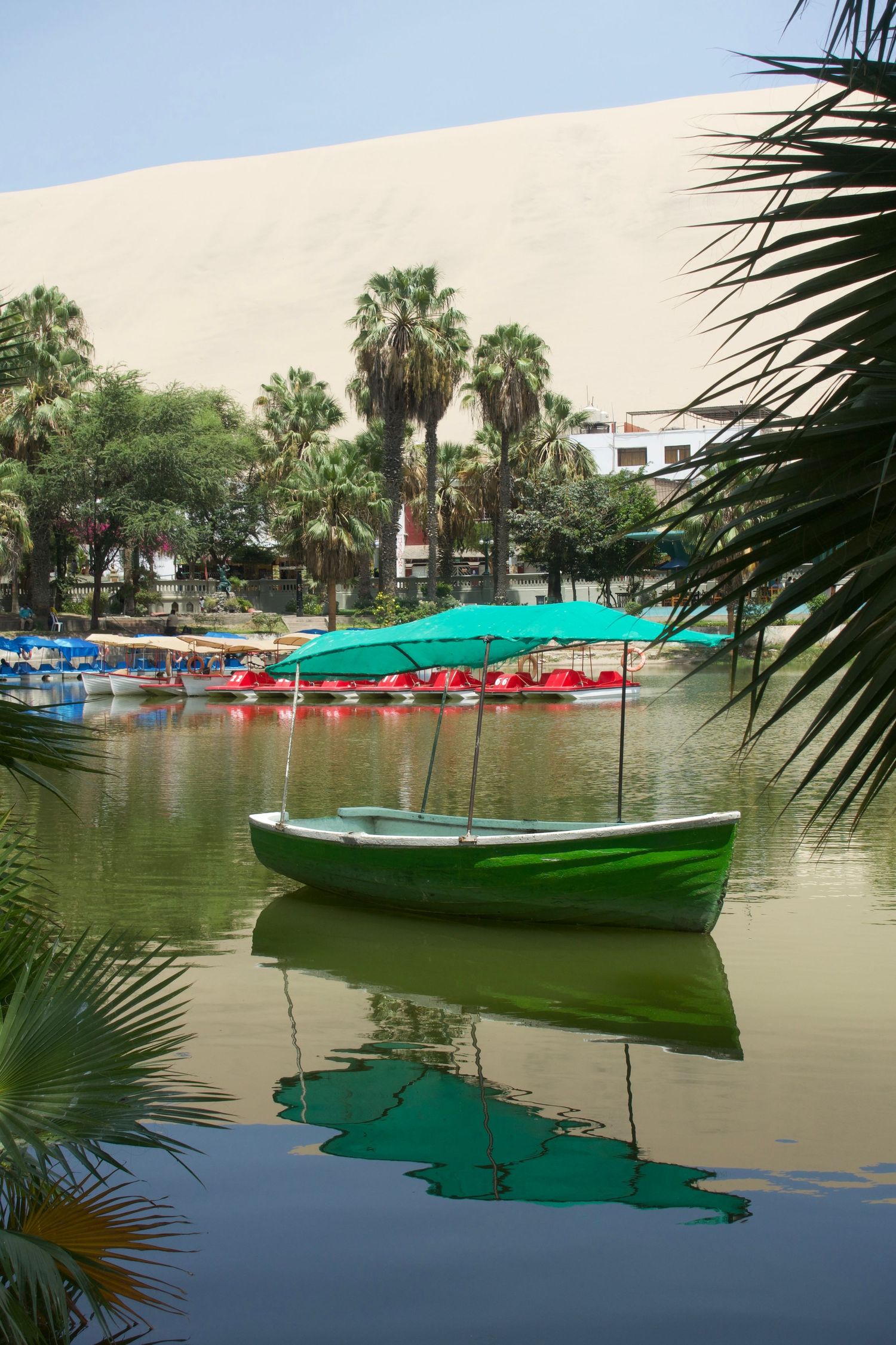 Green boat floating on a tranquil oasis lake surrounded by palm trees and sand dunes in Huacachina, Peru.