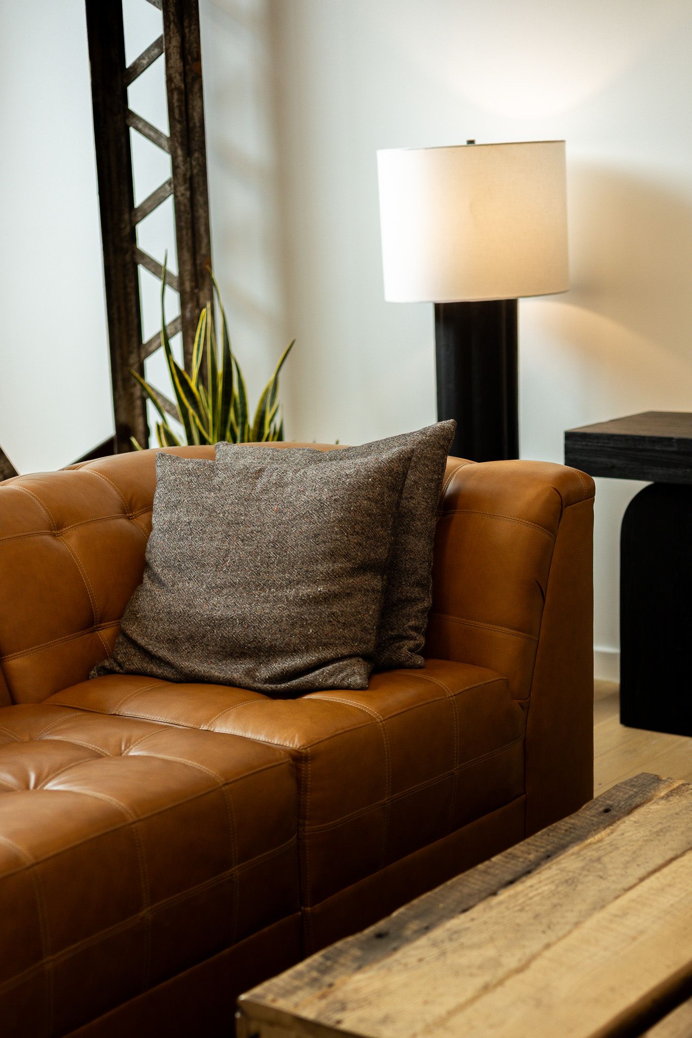 Tufted tan leather sofa with gray pillow, black table lamp, wood coffee table, and snake plant in modern living room.
