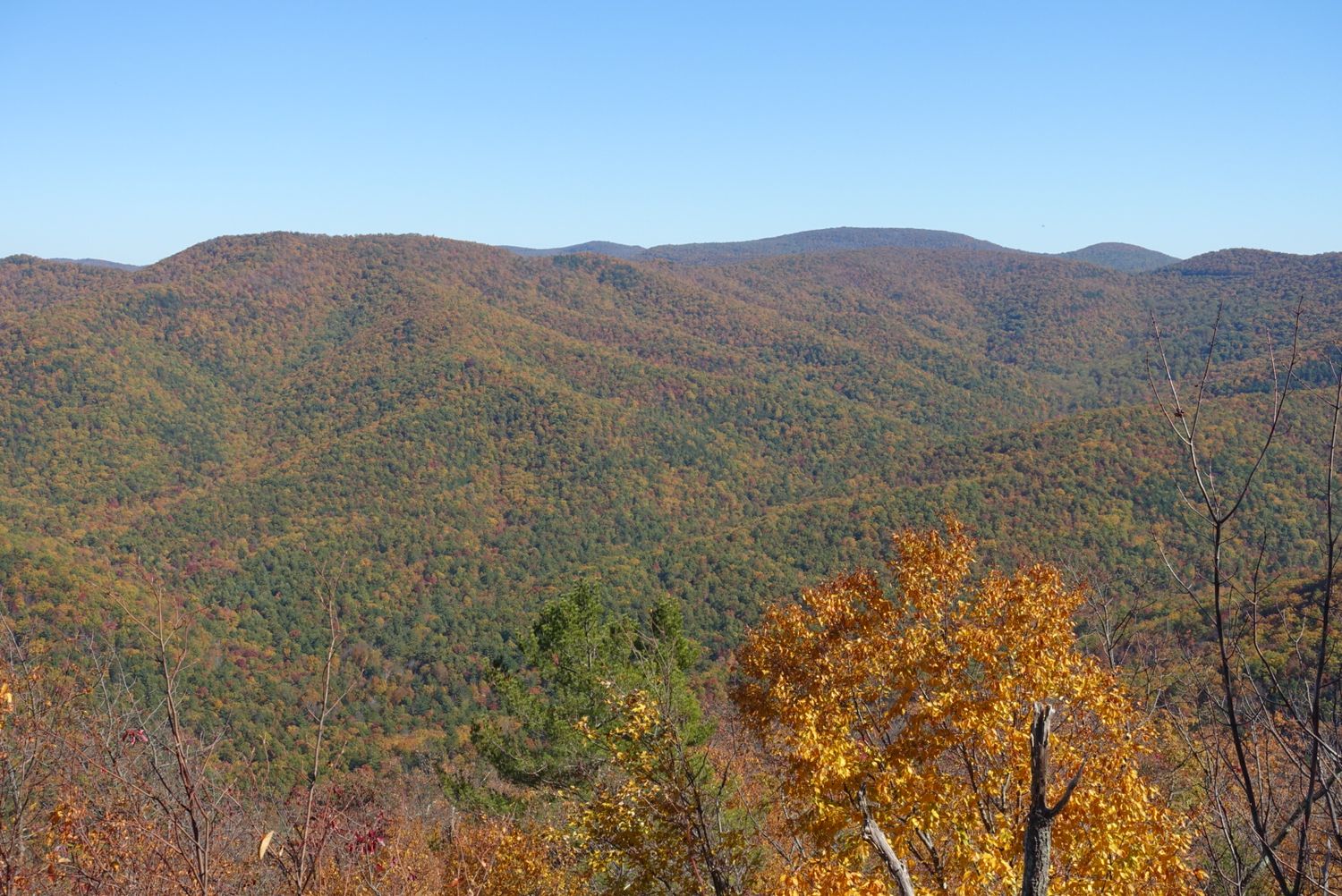 Autumn foliage blankets rolling Appalachian mountain ridges under a clear blue sky.