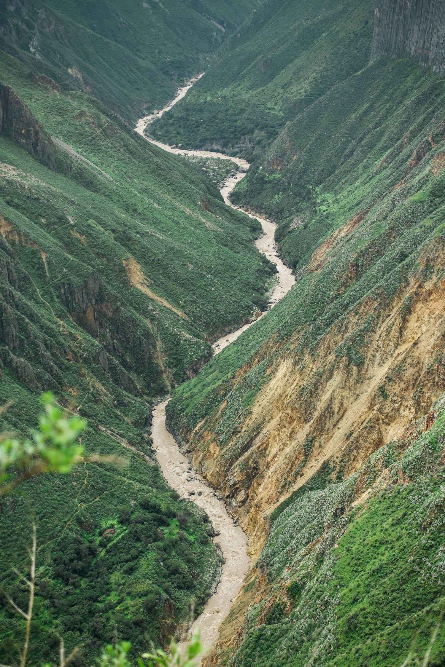 Aerial view of a winding river through a deep green mountain canyon valley with lush vegetation.